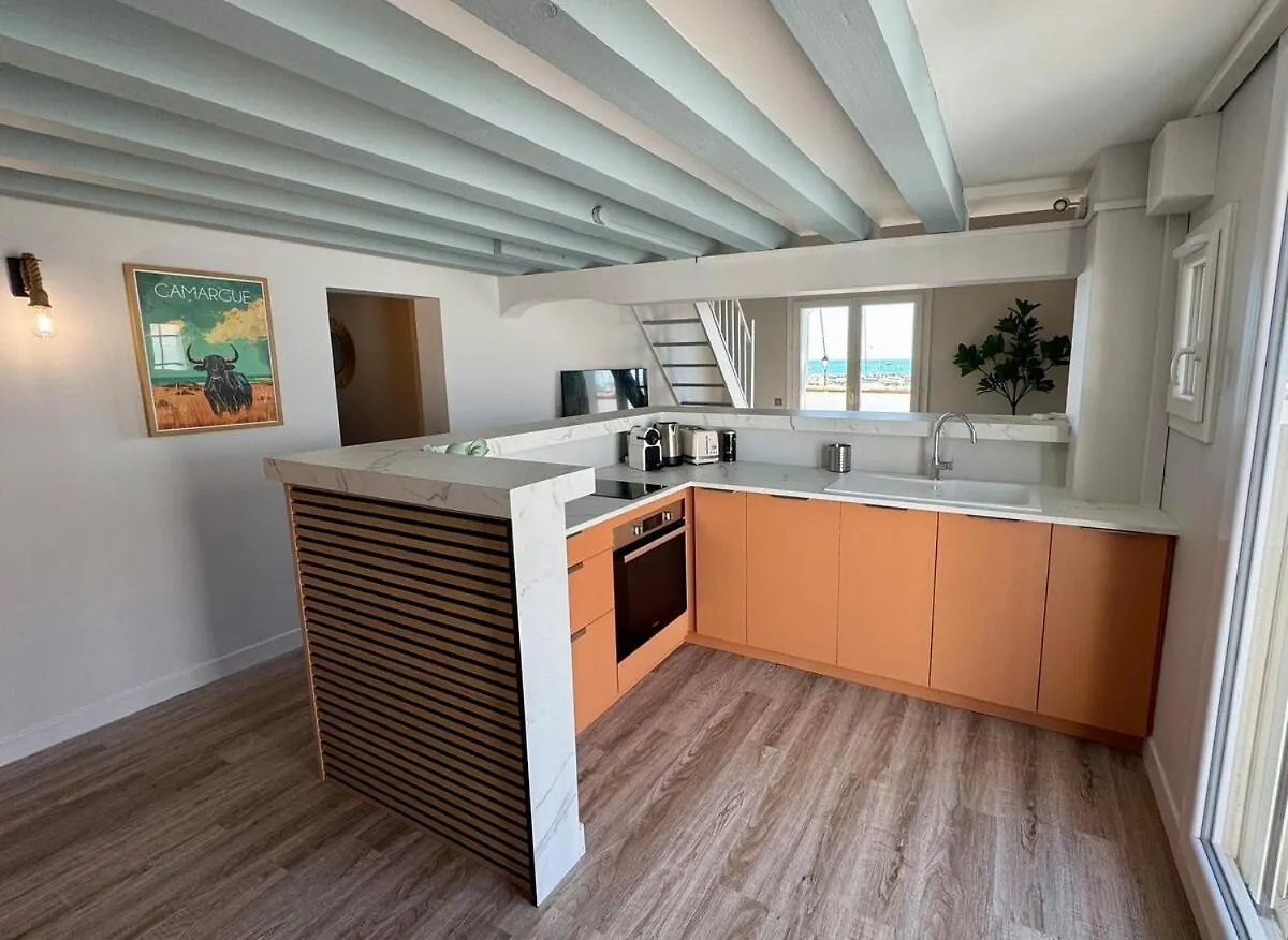 Vue Mer Climatise - 11 Pers Saintes-Maries-de-la-Mer